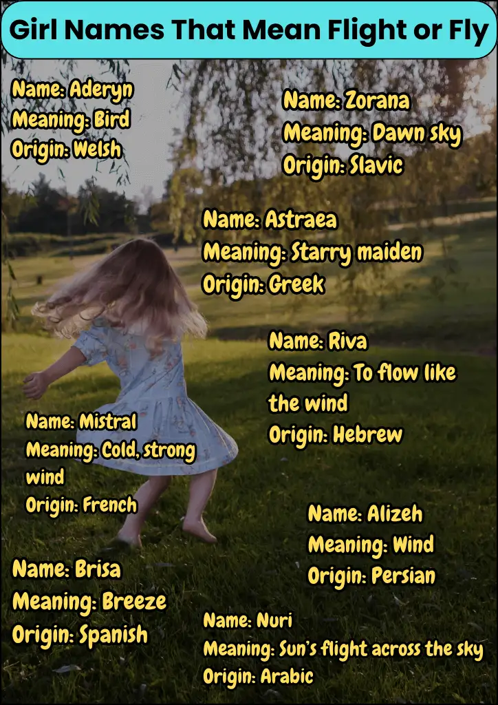 Girl Names That Mean Flight or Fly Infographic