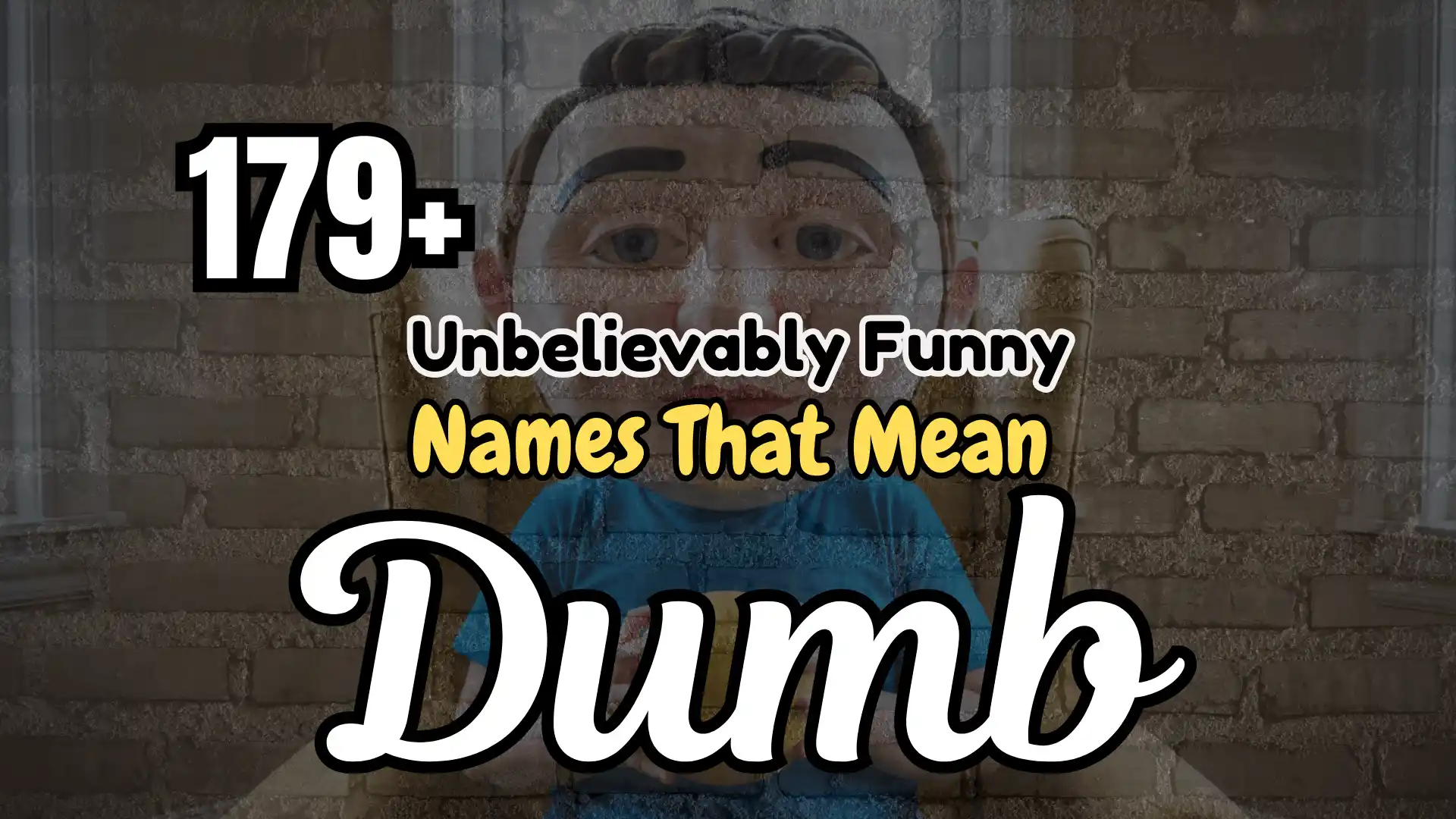 179+ Unbelievably Funny Names That Mean Dumb