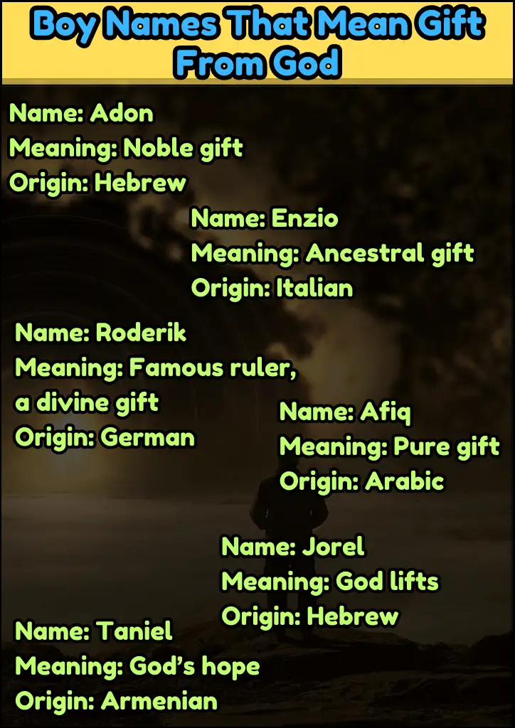 Boy Names That Mean Gift From God Infographic