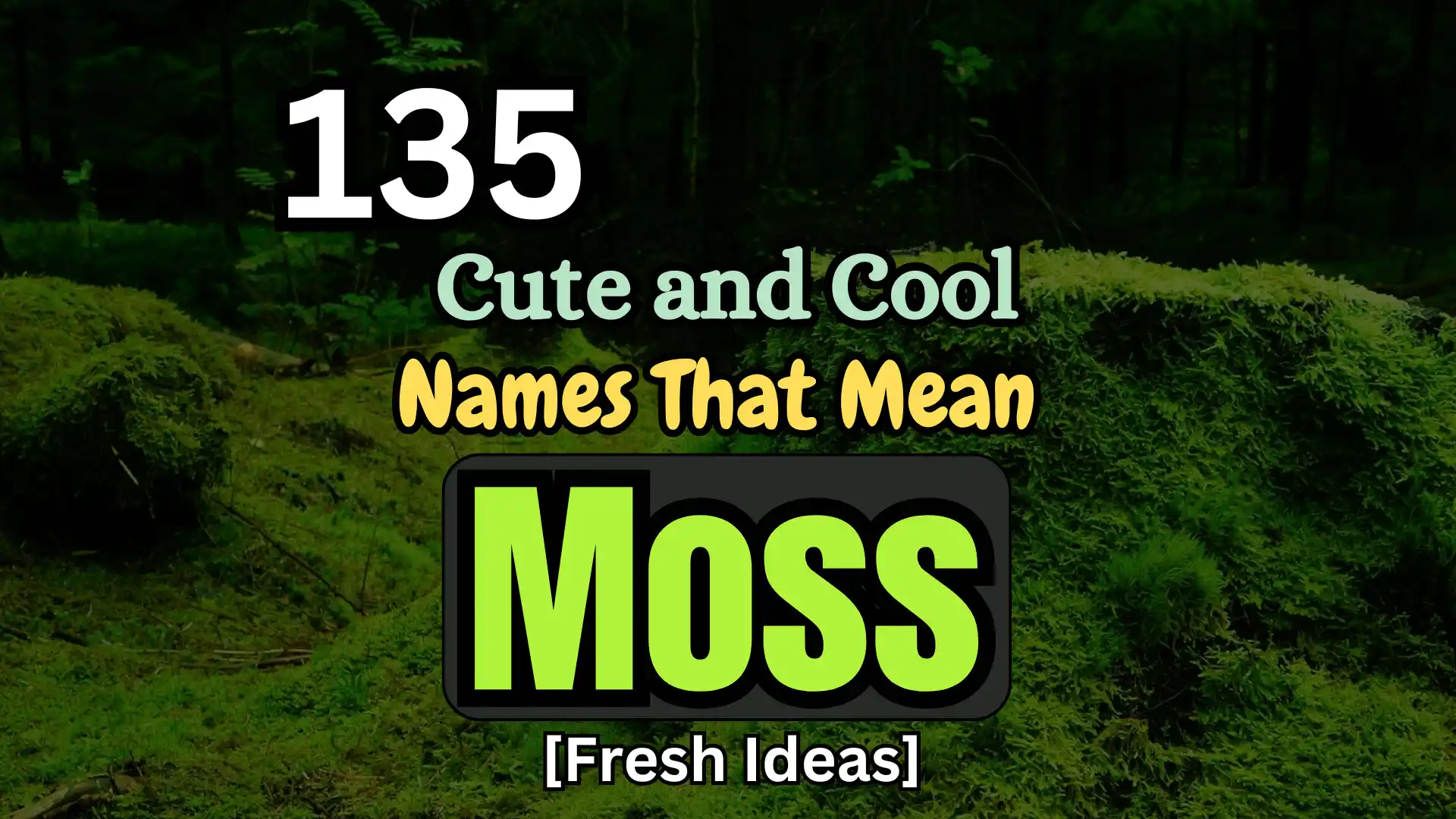 135 Cute and Cool Names That Mean Moss [Fresh Ideas]