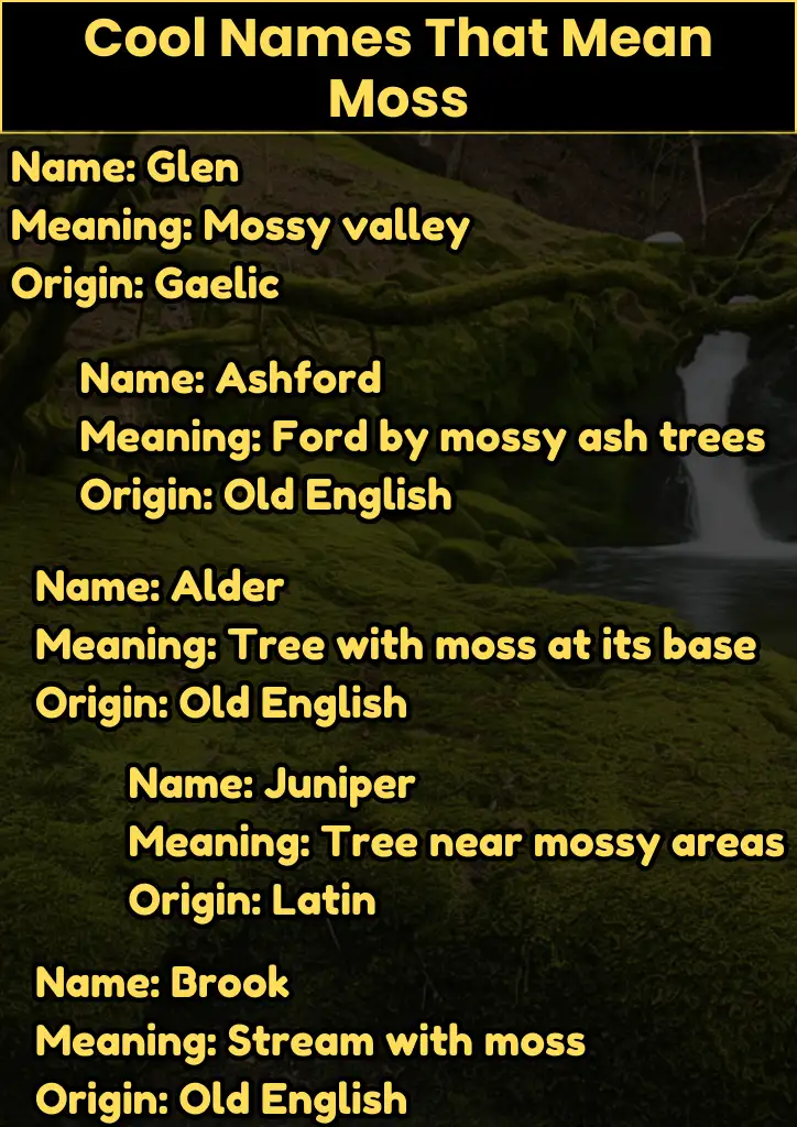 Cool Names That Mean Moss Infographic