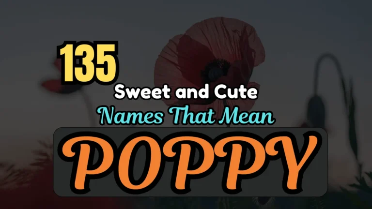 135 Sweet and Cute Names That Mean Poppy