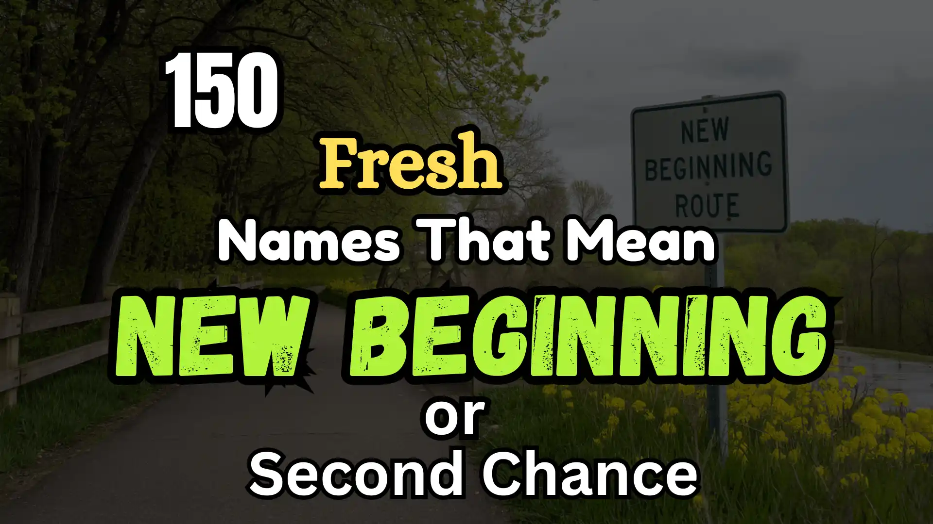 150 Fresh Names That Mean New Beginning or Second Chance